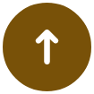 PAGETOP